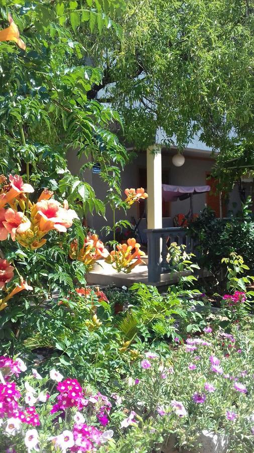 Apartman Bojana Apartment Starigrad Exterior photo