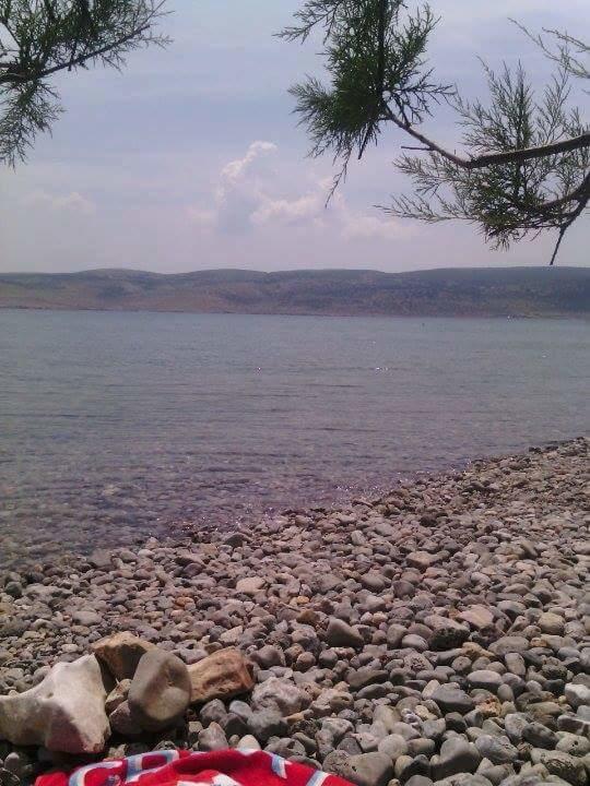 Apartman Bojana Apartment Starigrad Exterior photo